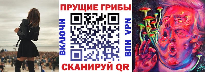 Псилоцибиновые грибы MAGIC MUSHROOMS даркнет сайт Карачаевск
