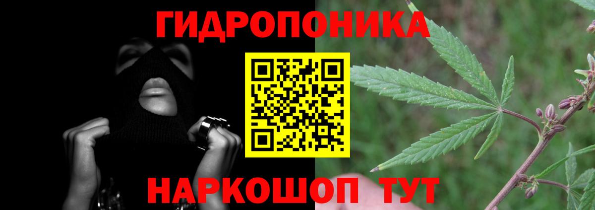 Конопля марихуана Карачаевск